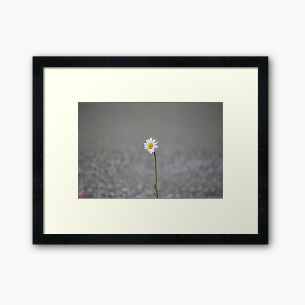 Alone 17.09.2020 Framed Art Print