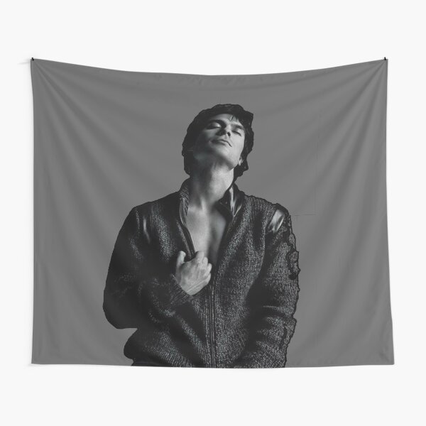 Damon Salvatore Tapestries Redbubble