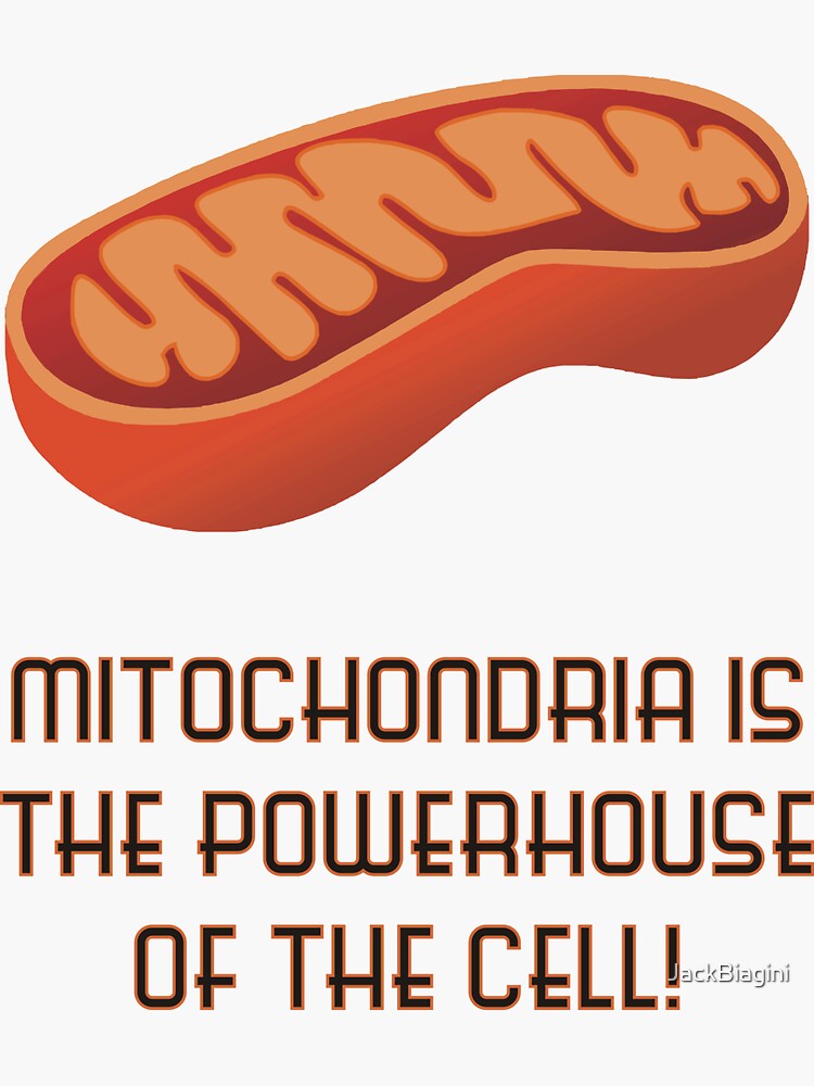 mitochondria-is-the-powerhouse-of-the-cell-v2-sticker-for-sale-by