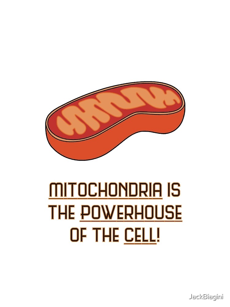 mitochondria is the powerhouse of the cell t shirt