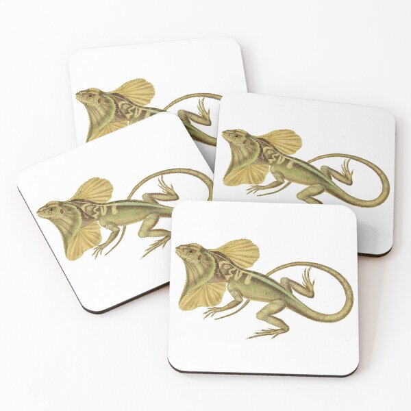 Item preview, Lagarto con volantes (Chlamydosaurus kingii) designed and sold by Ecologos.