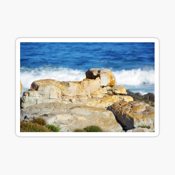 Kleinmond Sphinx Sticker