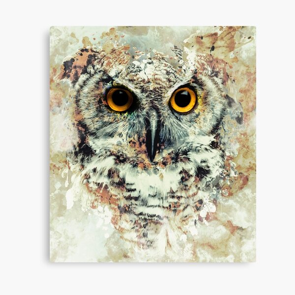 Owl II Canvas Print