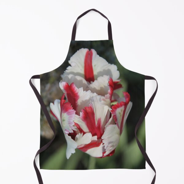 Aperçu de l'œuvre Tulipe bicolore blanche et rouge créée et vendue par EstelleRossetti.