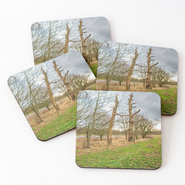 Item preview, Blickling Lake, rural Norfolk designed and sold by yackers1.