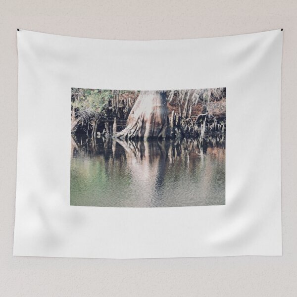 Item preview, Macro Cypress Reflection designed and sold by Warren  Thompson.