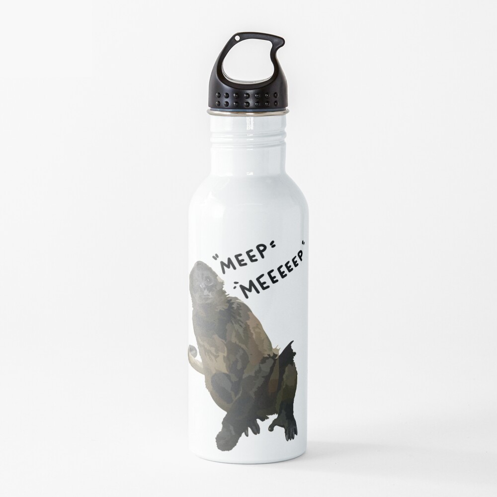 Spider monkey meep Water Bottle