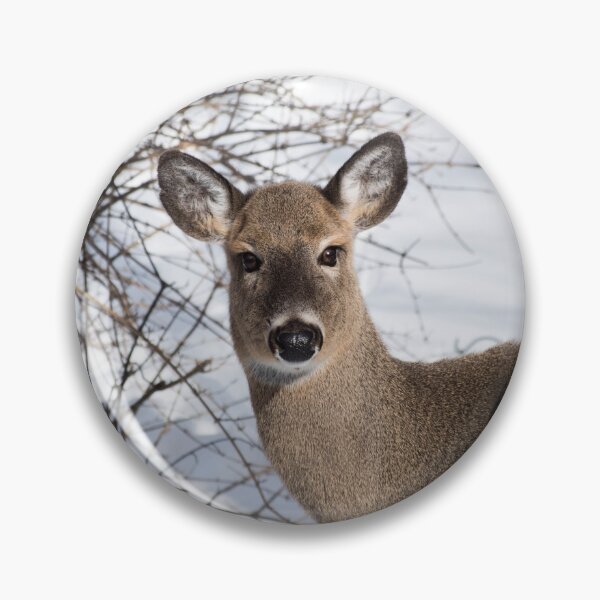 Item preview, Curious doe designed and sold by hk2001.