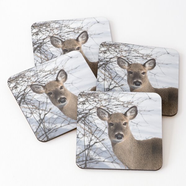 Item preview, Curious doe designed and sold by hk2001.