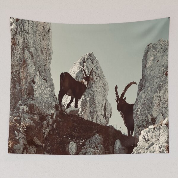 Item preview, nearby ibexes - vintage designed and sold by WalderDesign.