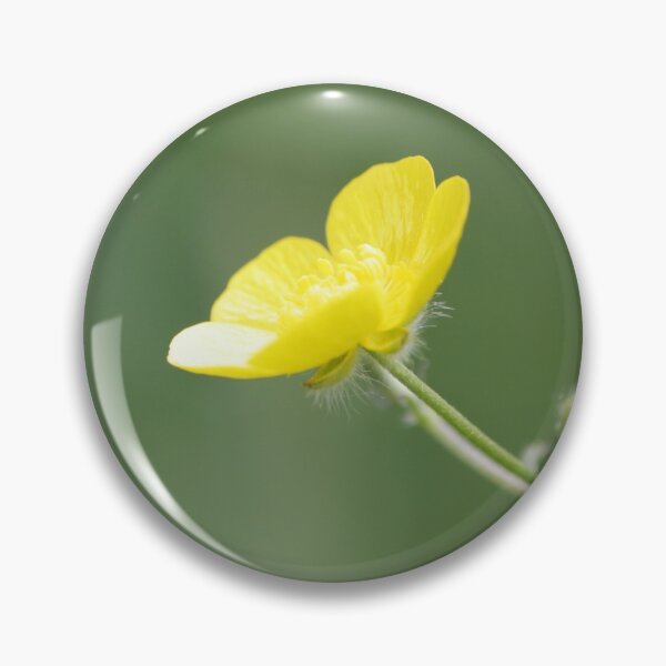 Buttercup in Summer Sun Pin