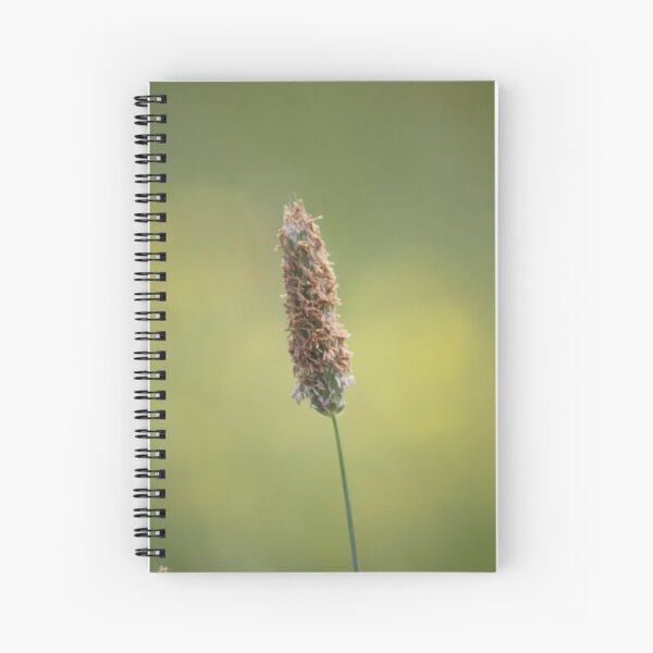 Grass in Bloom Spiral Notebook