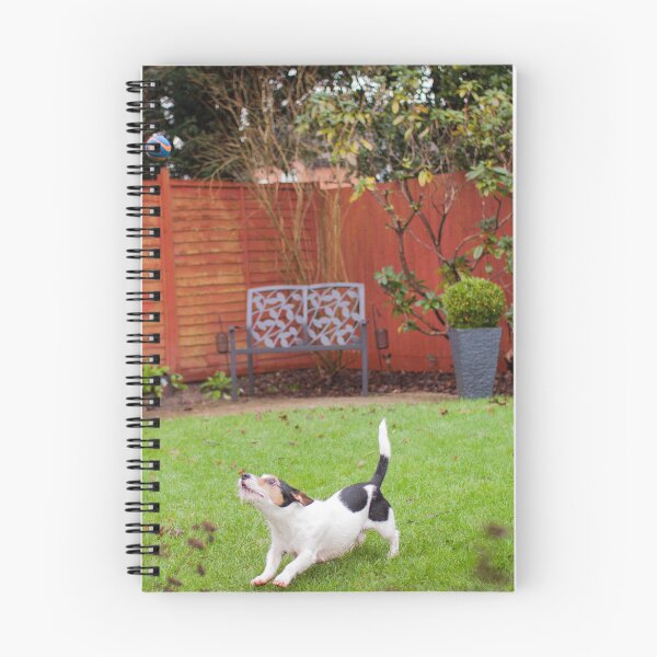 Item preview, Jack Russel Looking Up designed and sold by GNHCreative.