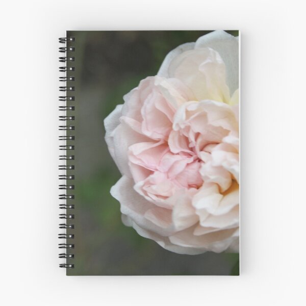 Item preview, Wild Cottage Rose designed and sold by SeaverN.