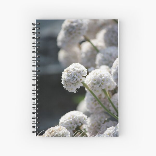 White Allium Flower Spiral Notebook