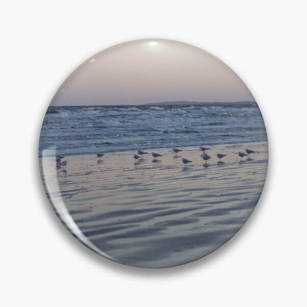 Winter Birds Coastal Sunset Pin