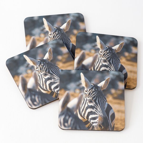 Item preview, Beautiful zebra designed and sold by cdkphotos.