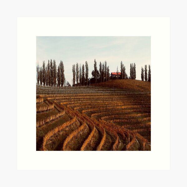 wine hill - vintage Art Print
