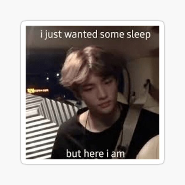 Copy of hyunjin stray kids meme Sticker