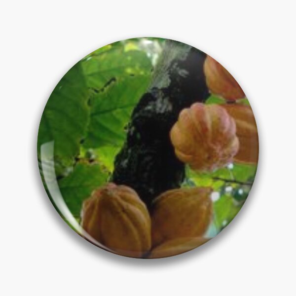 Item preview, Nice cacao fruit. designed and sold by Lan thi Nguyen.