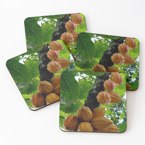 Item preview, Nice cacao fruit. designed and sold by Lan thi Nguyen.