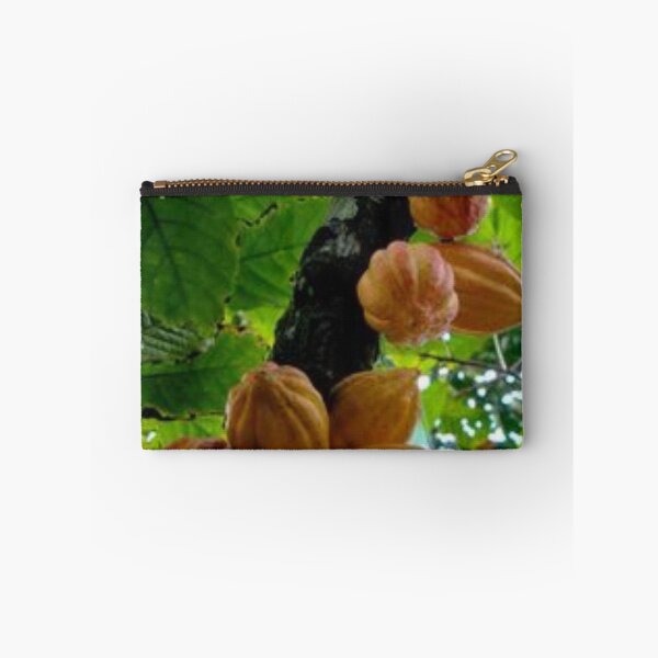 Item preview, Nice cacao fruit. designed and sold by Lan thi Nguyen.