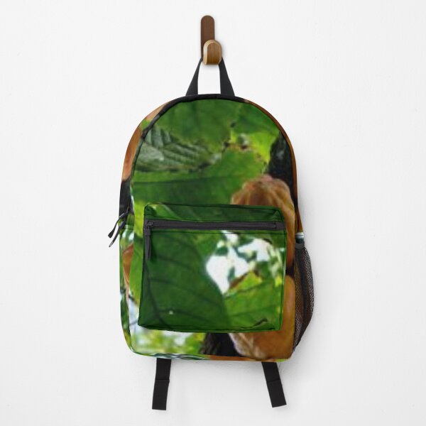 Item preview, Nice cacao fruit. designed and sold by Lan thi Nguyen.