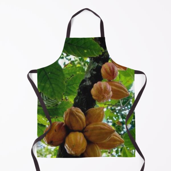 Item preview, Nice cacao fruit. designed and sold by Lan thi Nguyen.