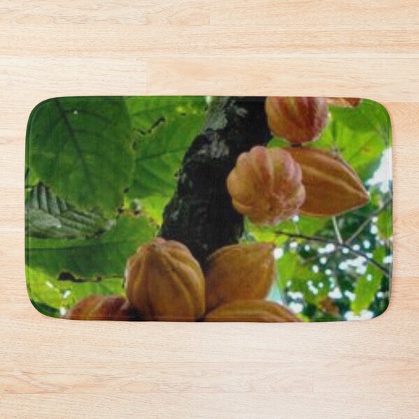 Item preview, Nice cacao fruit. designed and sold by Lan thi Nguyen.