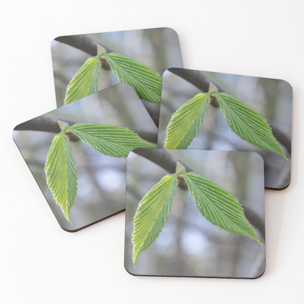 Item preview, Beech Tree Leaves designed and sold by Theophanes Avery.