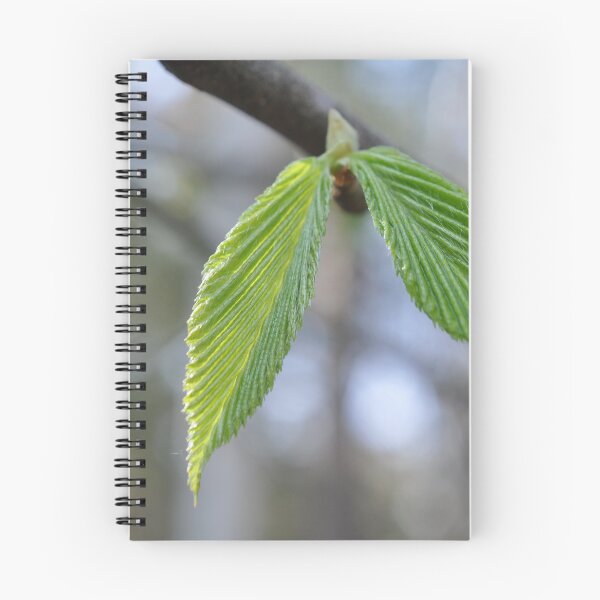 Item preview, Beech Tree Leaves designed and sold by Theophanes Avery.