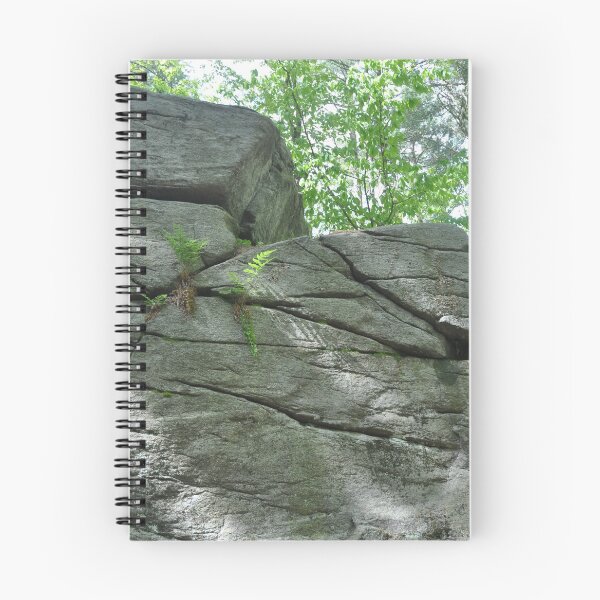Item preview, Nature's Rock Wall designed and sold by Theophanes Avery.