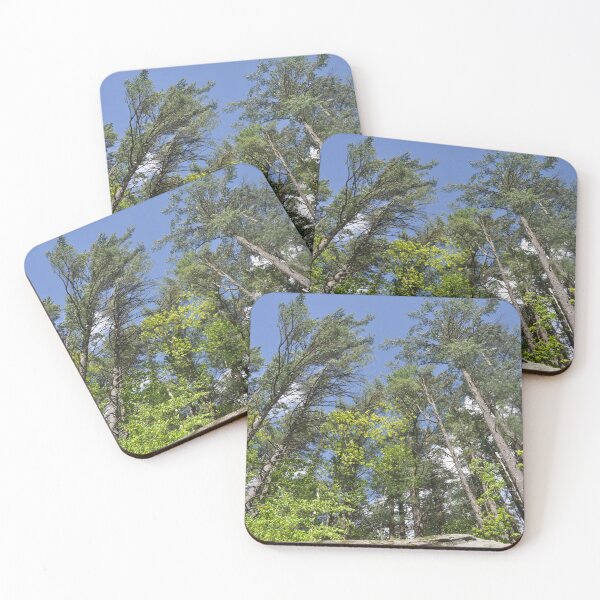 Item preview, In Judgement of the Trees designed and sold by Theophanes Avery.