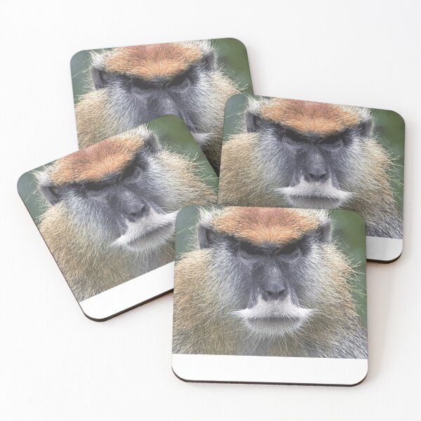 Item preview, P is for Patas Monkey designed and sold by Ilyas912.
