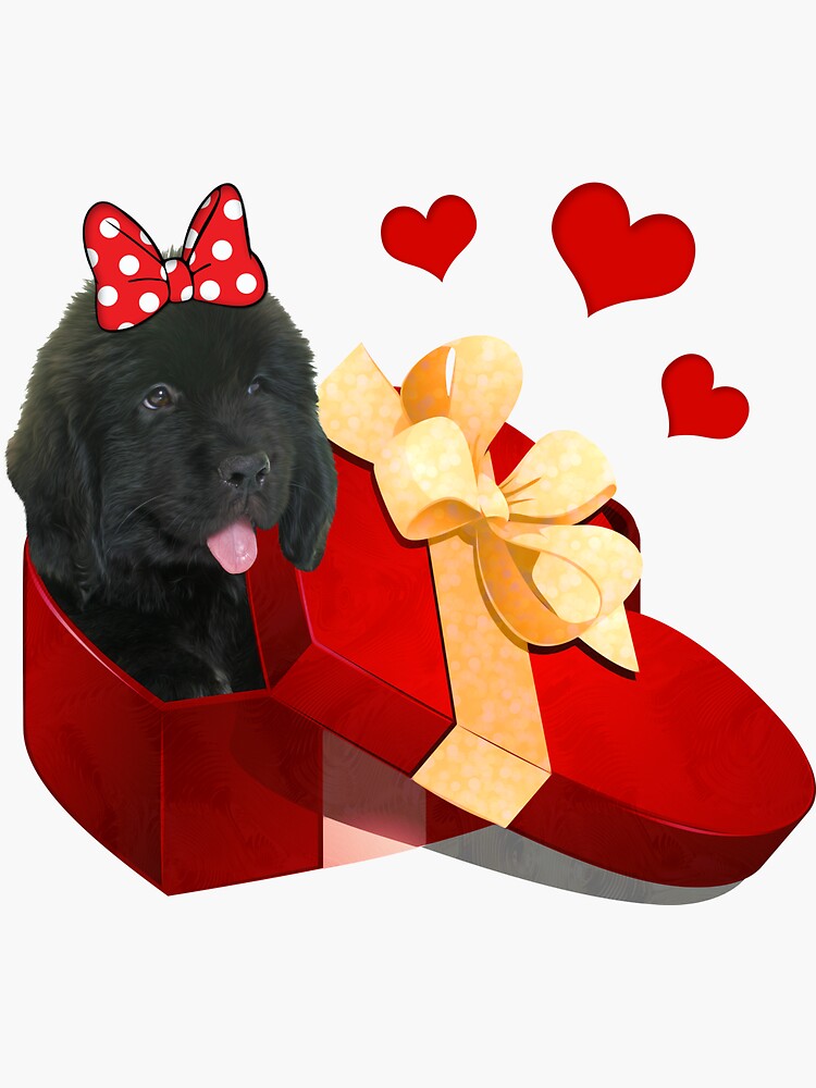 Puppy in a Candy Box by itsmechris