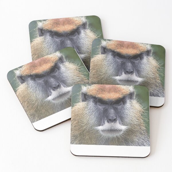 Item preview, P is for Patas Monkey designed and sold by Ilyas912.