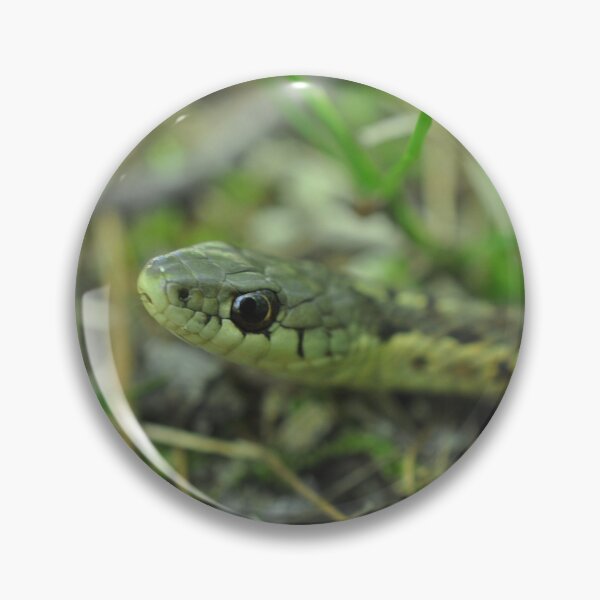 Item preview, Eastern Garter Snake in the Wild designed and sold by Theophanes Avery.