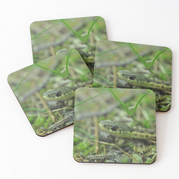 Item preview, Eastern Garter Snake in the Wild designed and sold by Theophanes Avery.