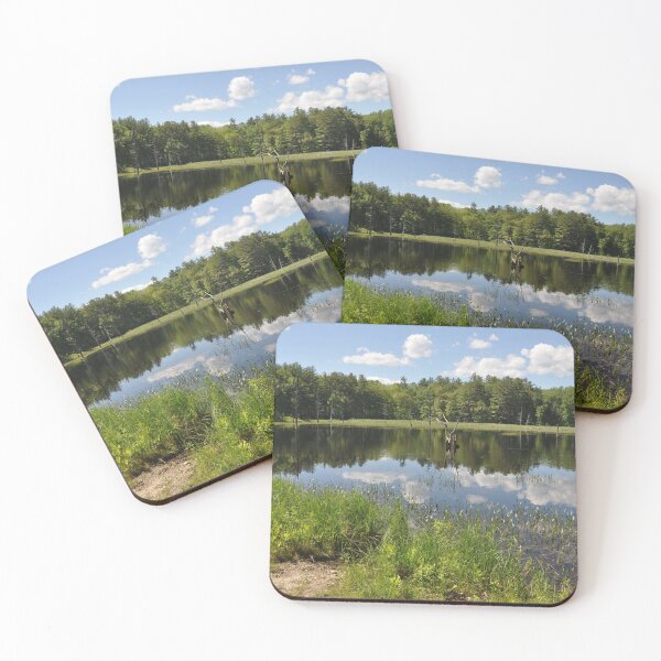 Item preview, Reflections of Clouds on a Summer Day designed and sold by Theophanes Avery.