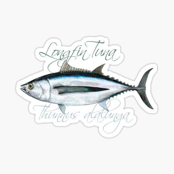 Albacore Tuna · Longfin · Thunnus alalunga Sticker