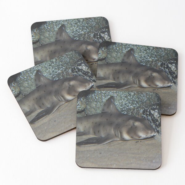 Item preview, Leopard Shark designed and sold by Theophanes Avery.