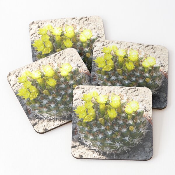 Item preview, Blooming cactus designed and sold by Kriti68.