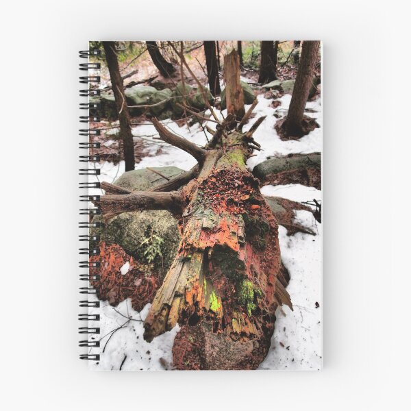 Item preview, A Decaying Log in Winter designed and sold by Theophanes Avery.