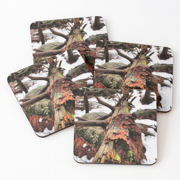 Item preview, A Decaying Log in Winter designed and sold by Theophanes Avery.
