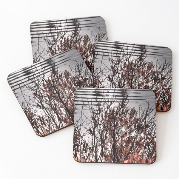 Item preview, A Bush in Front of Rippled Water designed and sold by Theophanes Avery.