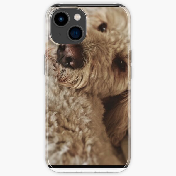 "Sweet Goldendoodle Nose" iPhone Case for Sale by Wingedness Redbubble