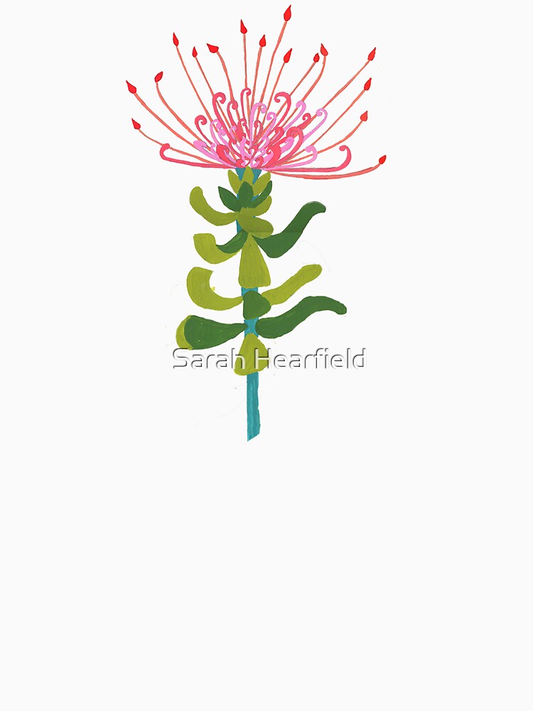 Pincushion Proteas by sarahrozdilski