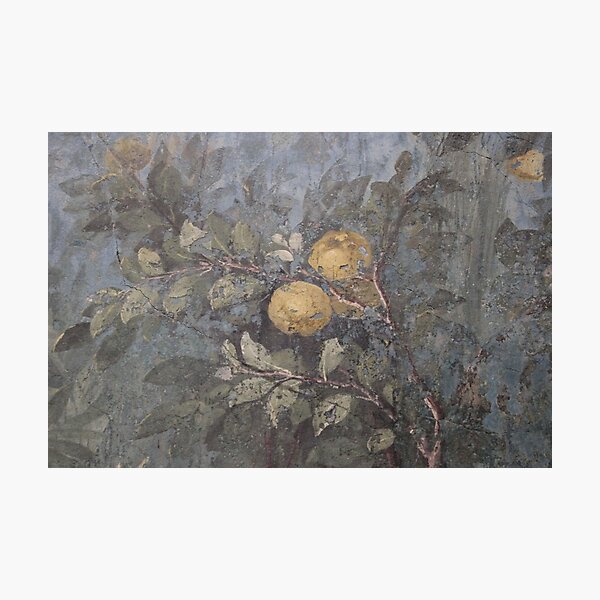 Item preview, Garden of Livia - Prima Porta - apples designed and sold by The-Roman-Lady.