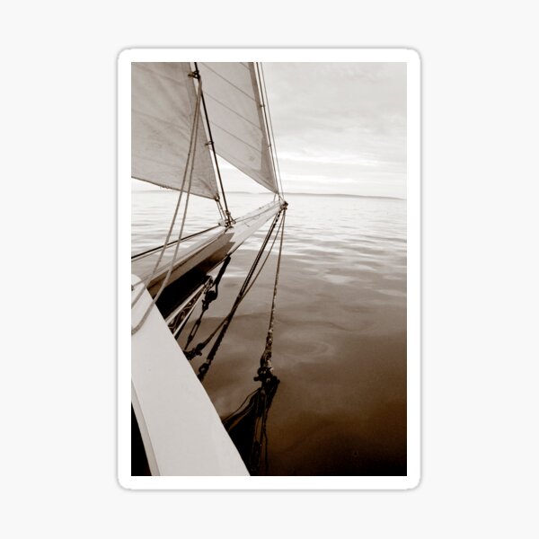 Sailing on Calm Waters Sticker