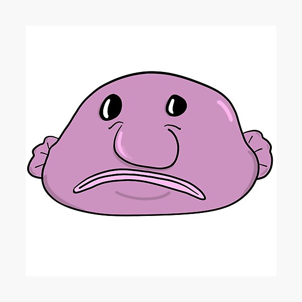 Blob Fish Cartoon Photographic Prints for Sale | Redbubble Blob Fish Cartoon Photographic Prints for Sale | Redbubble